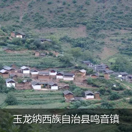 玉龙纳西族自治县鸣音镇